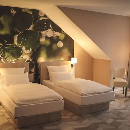 Hotel Thoeles*** In Vilsen *